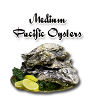 Live Pacific Oysters