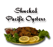 Shucked Pacific Oysters